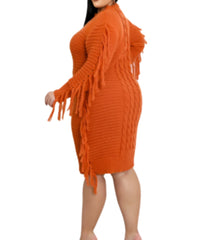 Curvy Fringe Sweater Dress