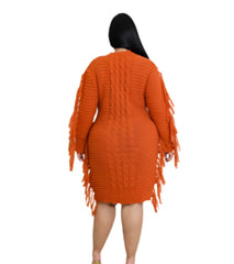 Curvy Fringe Sweater Dress