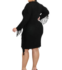 Curvy Fringe Sweater Dress