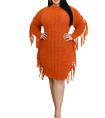 Curvy Fringe Sweater Dress